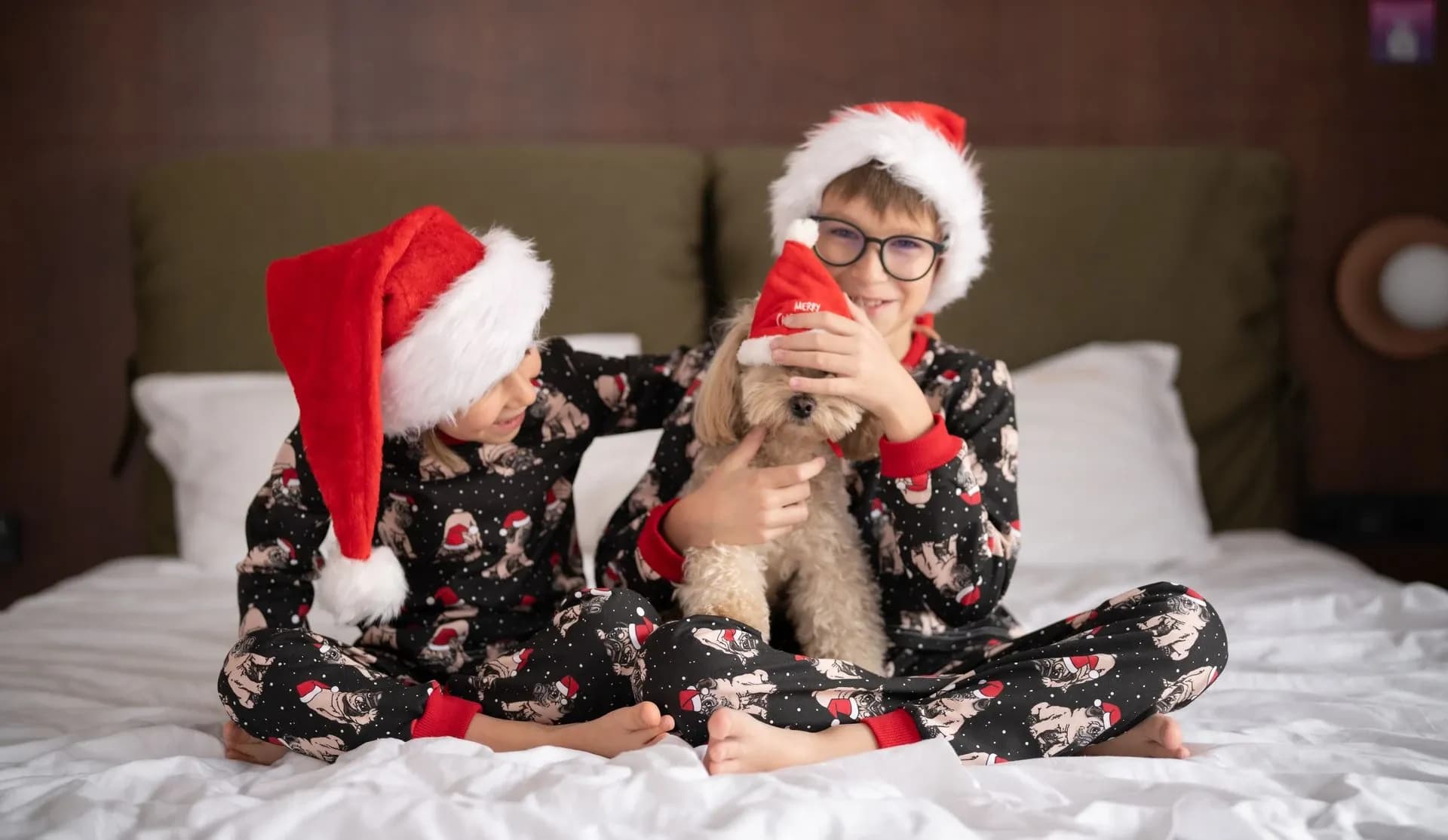 Новорічна магія з Ribas Hotels. Святкуймо 2025 рік разом!